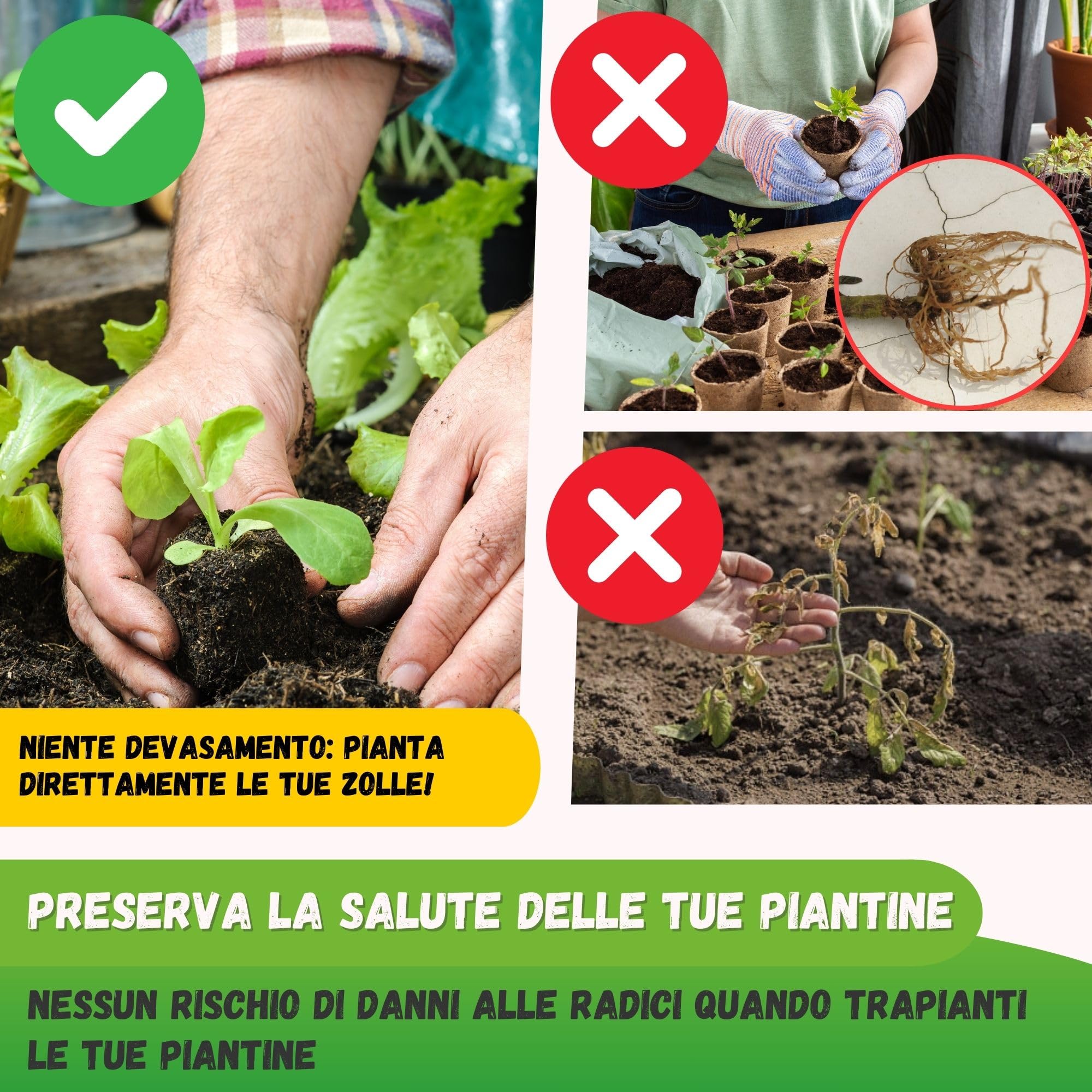 Jarden Pressa professionale per terreno - 8 Zolle quadrate da 5 cm - Attrezzo da giardinaggio in acciaio inox per piantare semi, piantine e talee