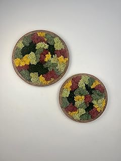 Moss Wall Art Circle | Preserved Moss Art Framed | Moss Wall Decor | Single or Set of Two | Reindeer Pole Sheet Moss | Gift | Mothers Day (Set of Two (10 and 12 Inch), Pine)