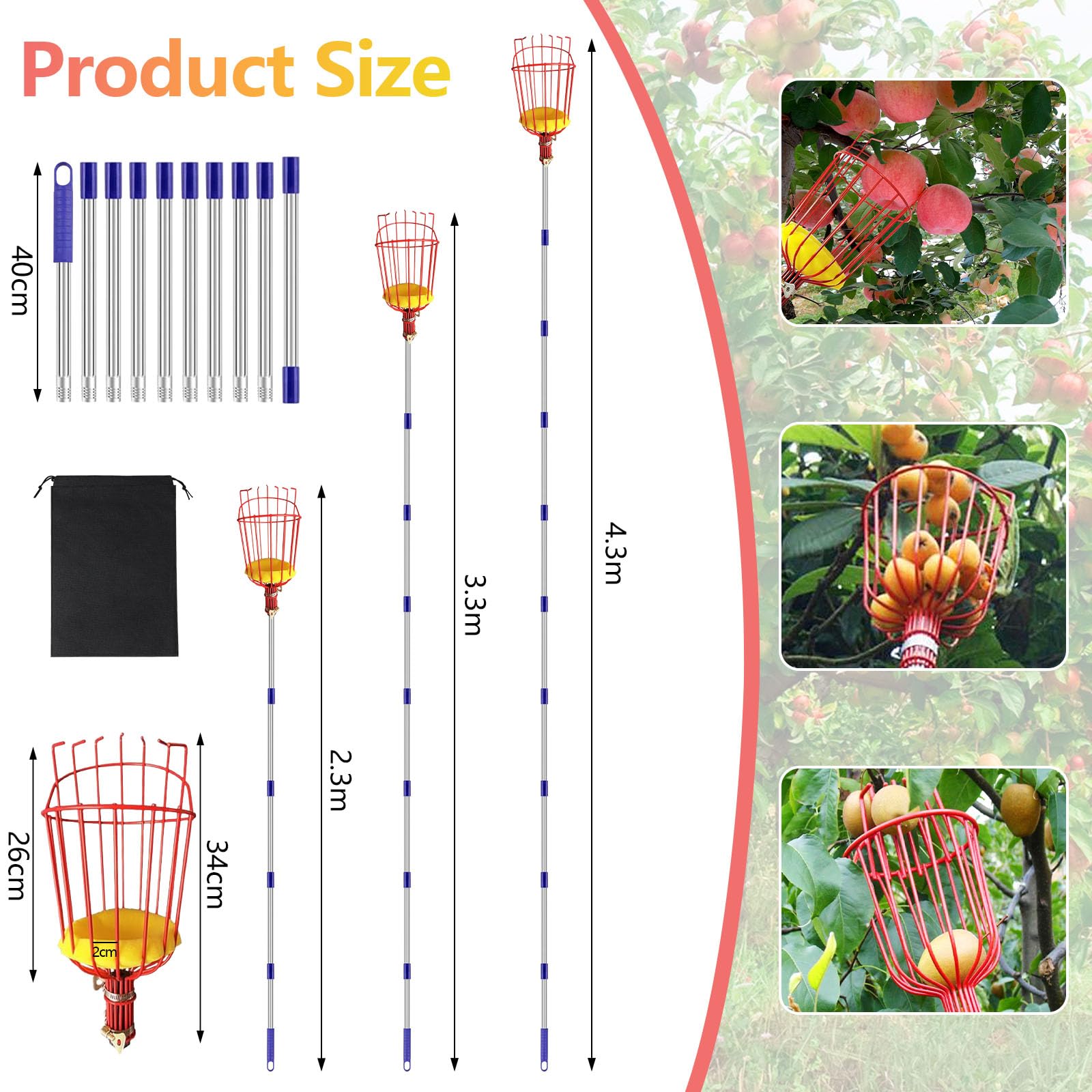Strumento raccoglifrutta da 4,3 m, asta estensibile per raccogliere la frutta, con grande cesto avvitabile, lunghezza 2,3 m/3,3 m, regolabile in acciaio inox, attrezzi da giardinaggio per raccogliere