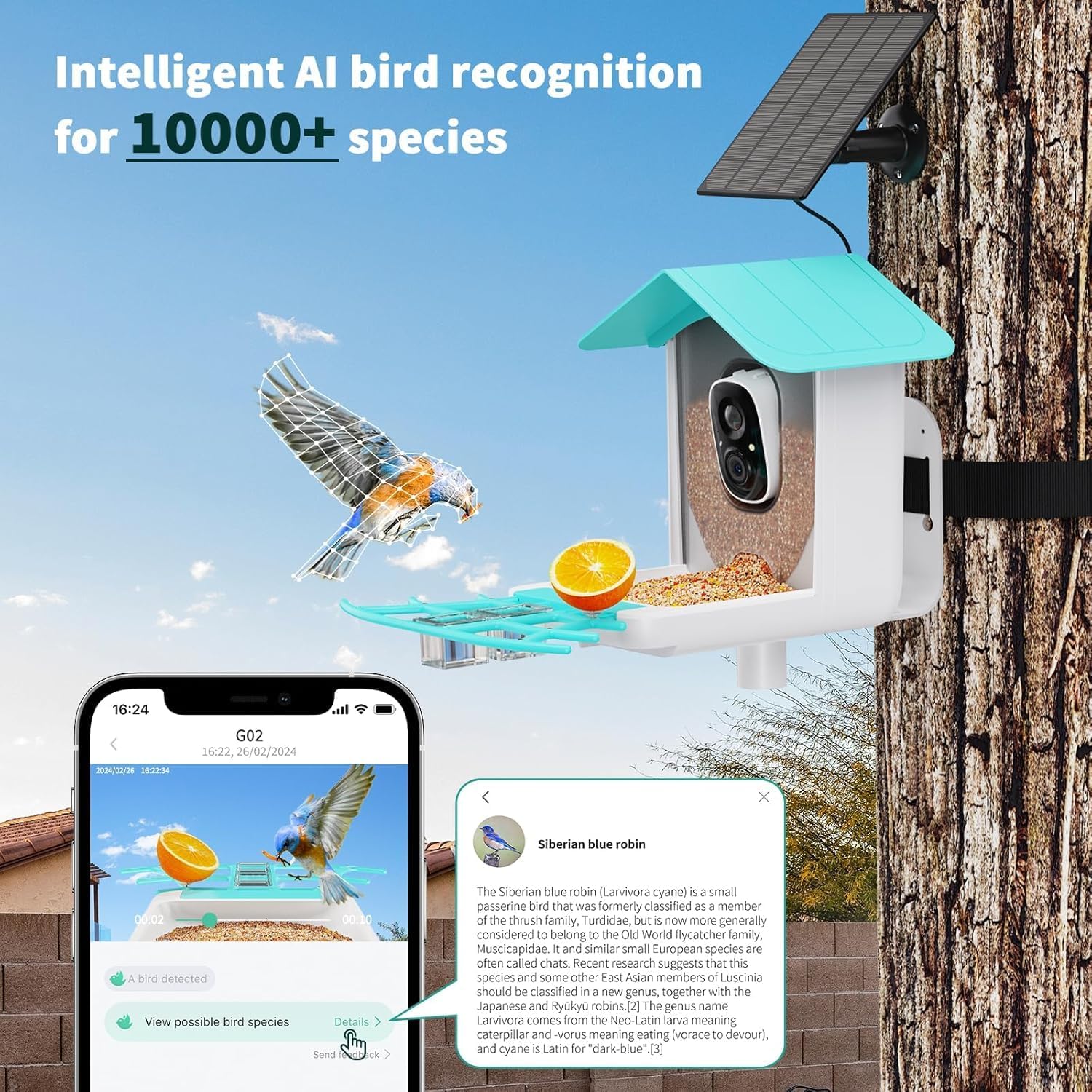 VicoHome N002 Bird Feeder with Camera - AI Bird Recognition, Solar Powered Outdoor Birdhouse Cam with Night Vision, Motion Alerts, App Control, Cloud & SD Storage, IP65 Waterproof, 2K HD Live View