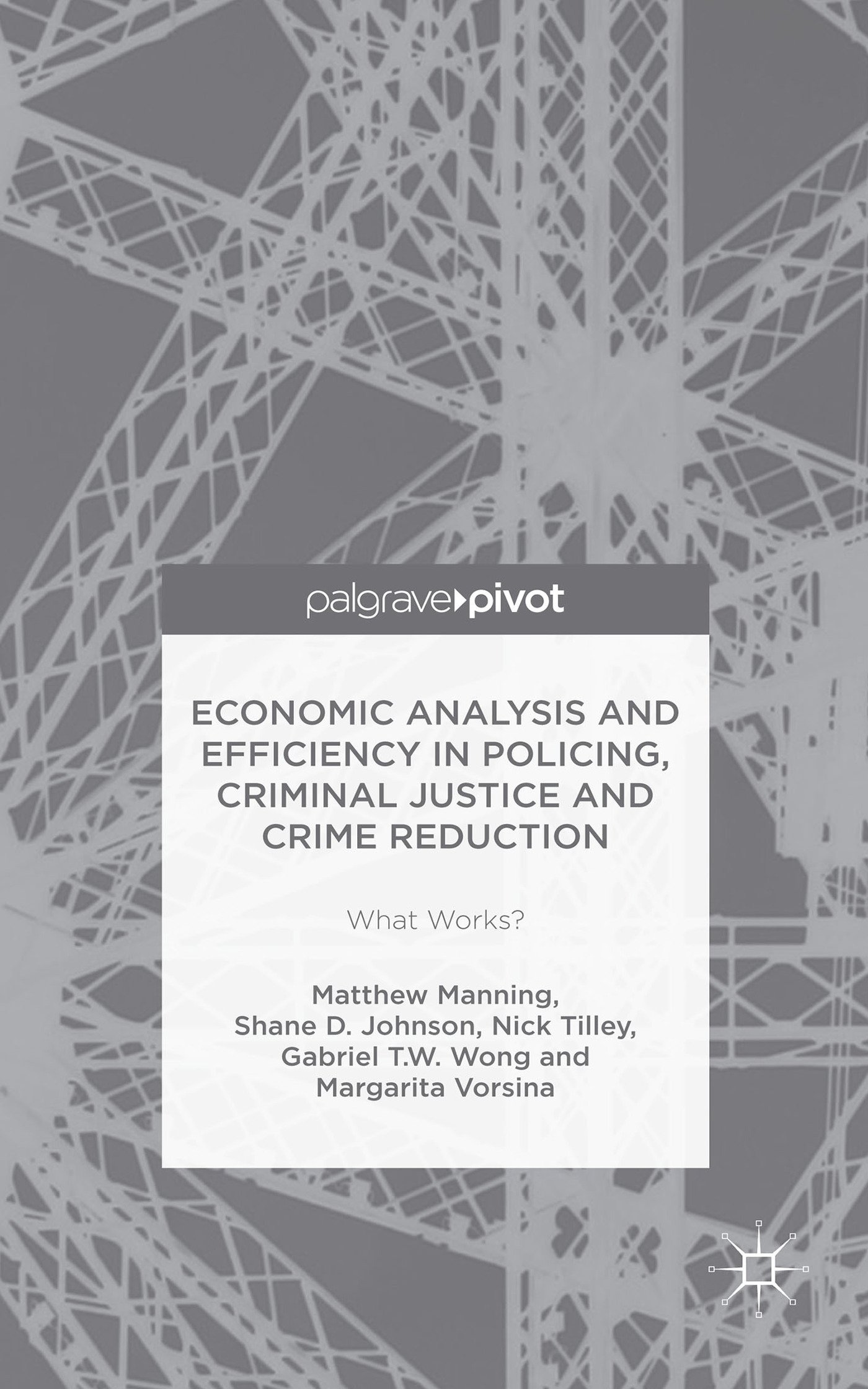 Buy Economic Analysis and Efficiency in Policing, Criminal Justice and Crime Reduction — BookShops.in