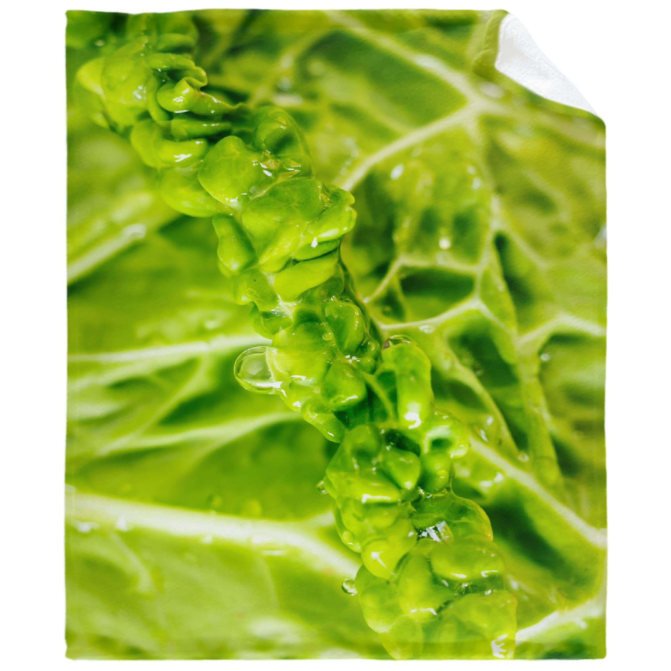 Green Vegetables Blanket,Lightweight Flannel Fleece Love Green Vegetables Throw Blanket Gifts for Girl All Season,Blanket for Bed/Couch/Sofa 40