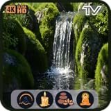 ウォーターカスケードフロー：穏やかな川の音と自然の雰囲気でリラックスできるテレビ