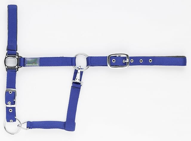 United Sportproducts Germany USG 35813 - Cabezada para Caballos, Color Verde, Talla Pony