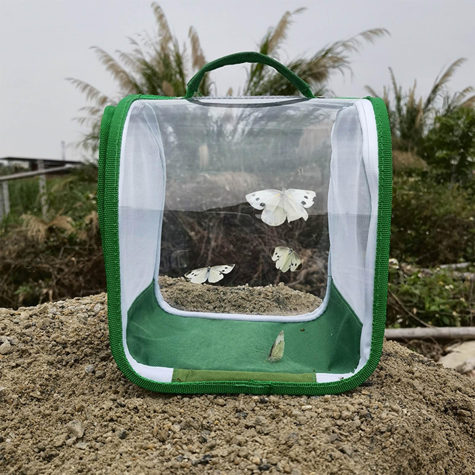 Set di allevamento di farfalle per bambini/adulti | Farfalla domestica | Insetto e Farfalla Habitat Gabbia di protezione per terrario | Allevamento cingolato dai 3 anni in su, verde