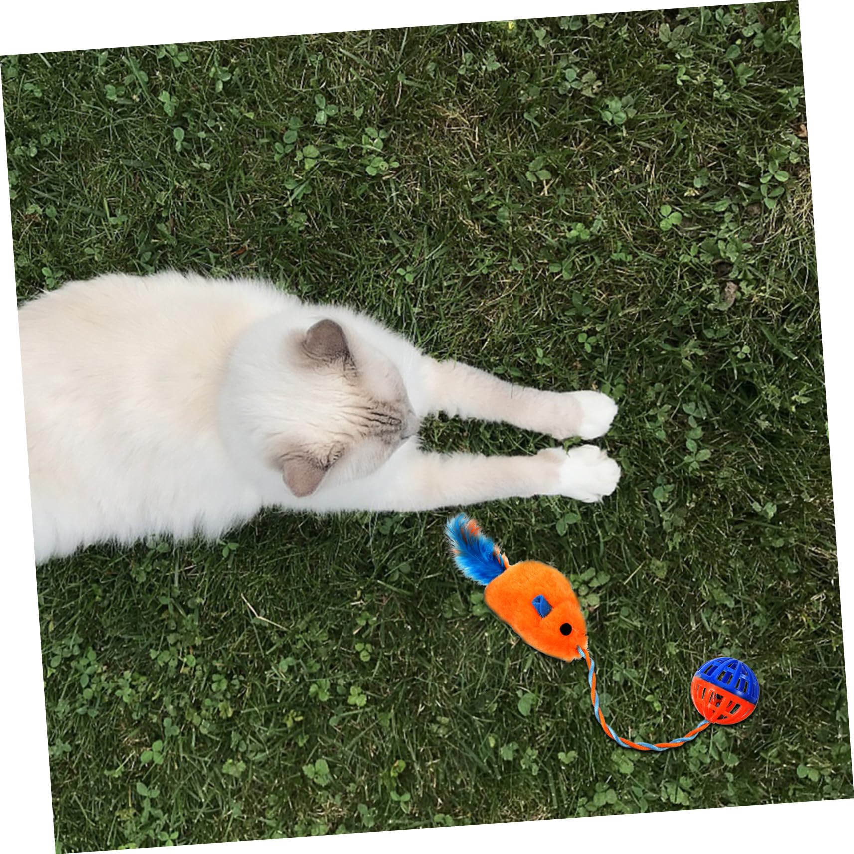 UPKOCH Jouet pour Chat Souris en Plastique avec Clochette Sonore, Balle Interactive en Peluche Orange, Jouet D’intérieur pour Chatons et Chats Adultes