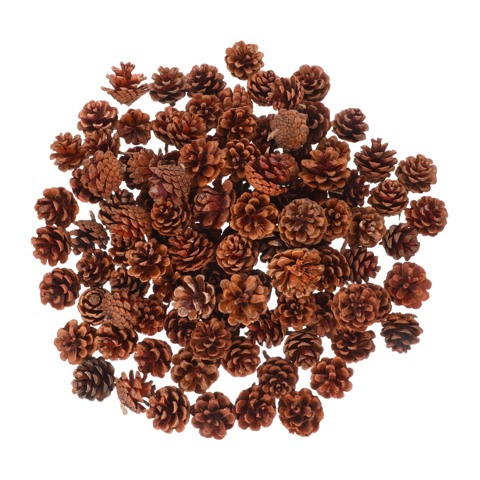 ULTECHNOVO 130 Pezzi Pigne di Natale Mini Naturali 3-4cm Decorazioni Rustiche per Albero di Natale e Riempitivi per Vaso per Decorazioni Invernali e Matrimoni