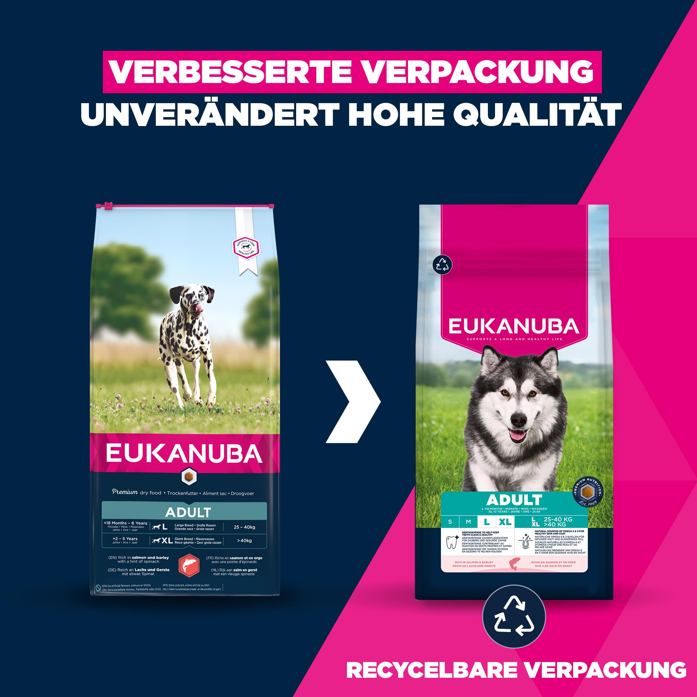 Eukanuba Hundefutter Trocken mit Lachs und Gerste für große Rassen - Premium Trockenfutter für ausgewachsene Hunde, 12 kg