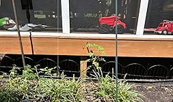 Review Image by A.H. A.H.