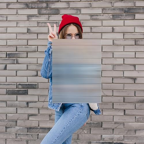 Miniatura 9 de Escudo de invisibilidad, 36 x 24 pulgadas, protector lenticular con asas acrílicas transparentes para bromas, ciencias, magia, ilusión, ocultación,