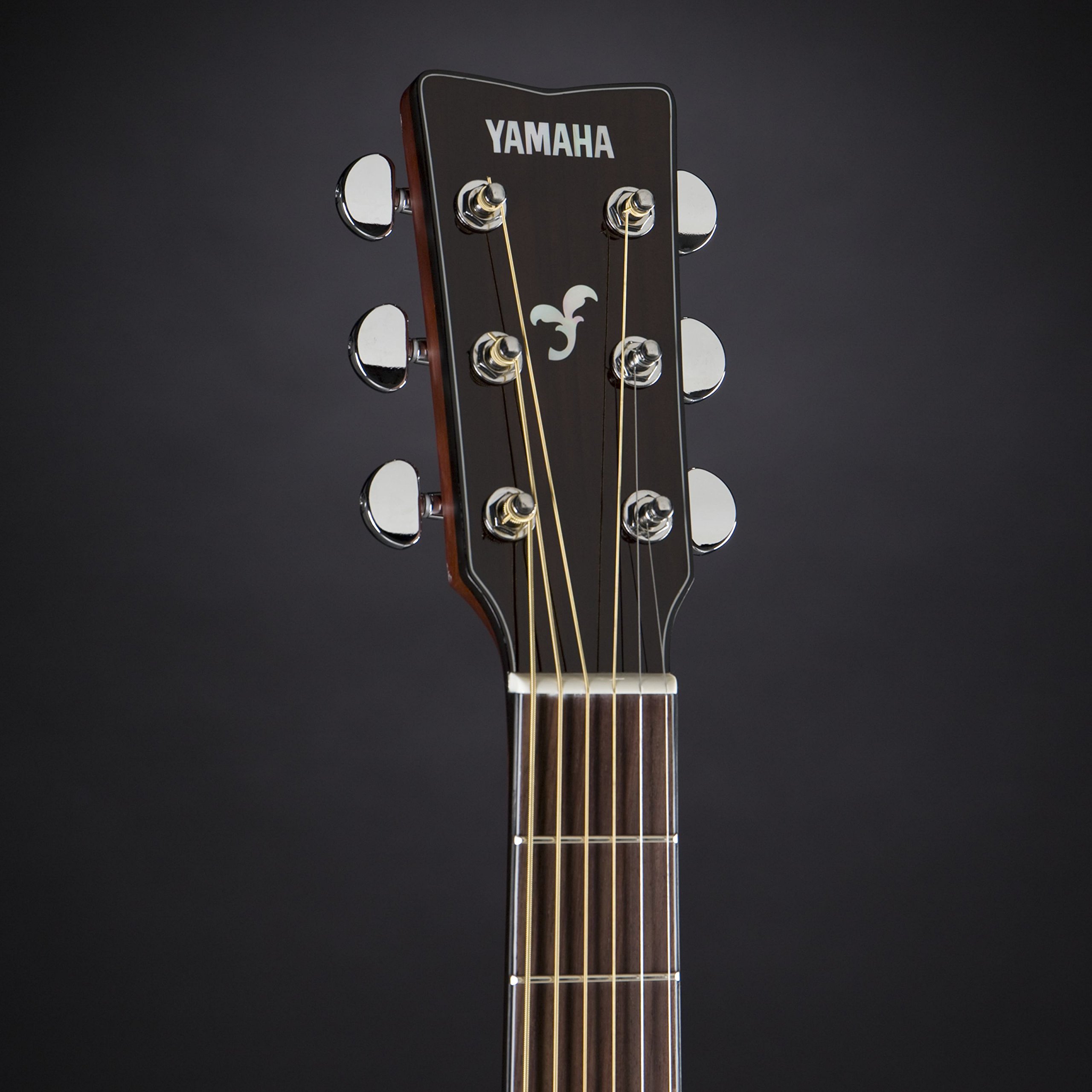 Amazon.co.jp: ヤマハ YAMAHA アコースティックギター FG850 熱く