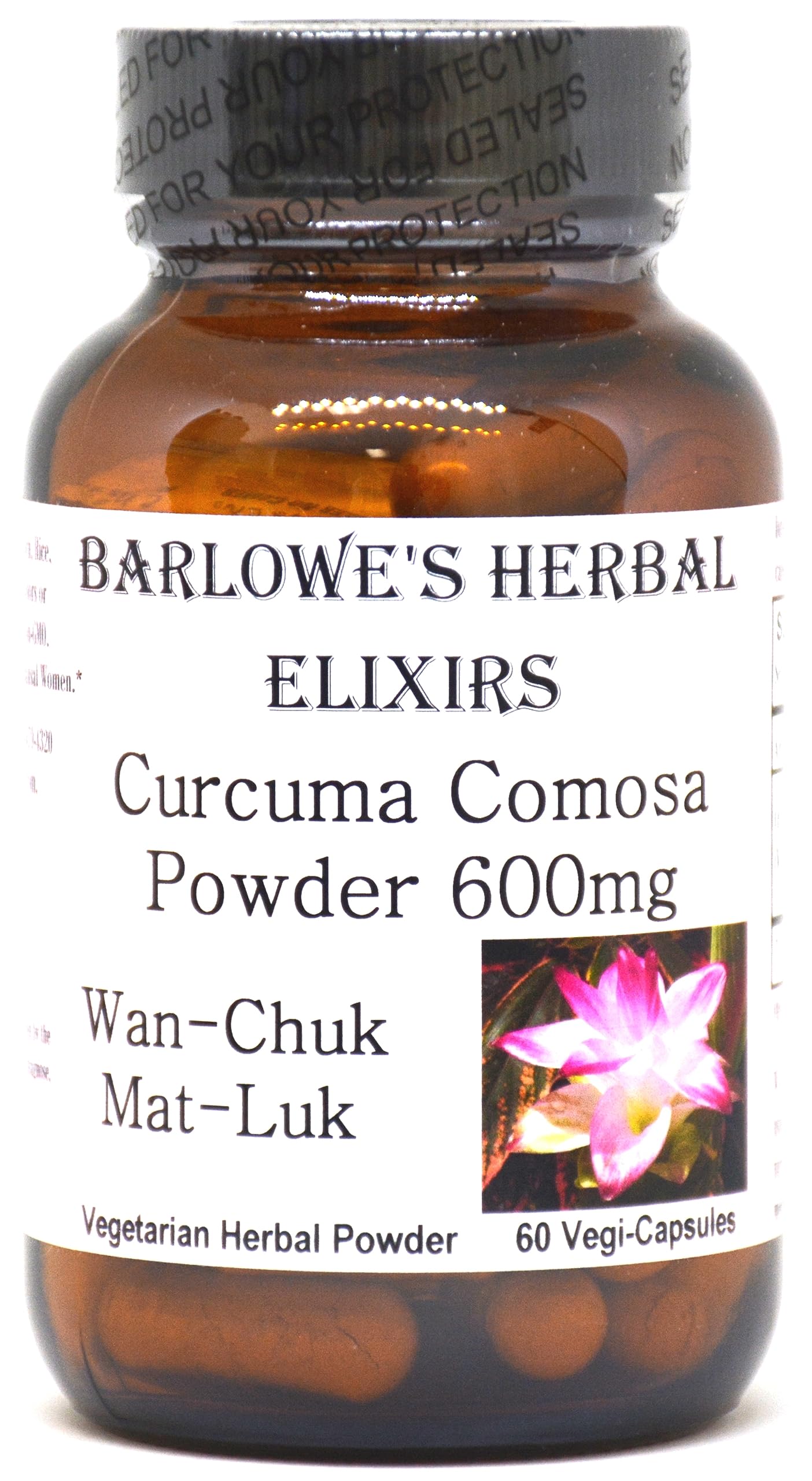 Curcuma Comosa Powder | 600mg Per Capsule | Hormonal Balance & Menstrual Support | Women’s Health Supplement | 60 Vegetarian Capsules | Glass Bottled