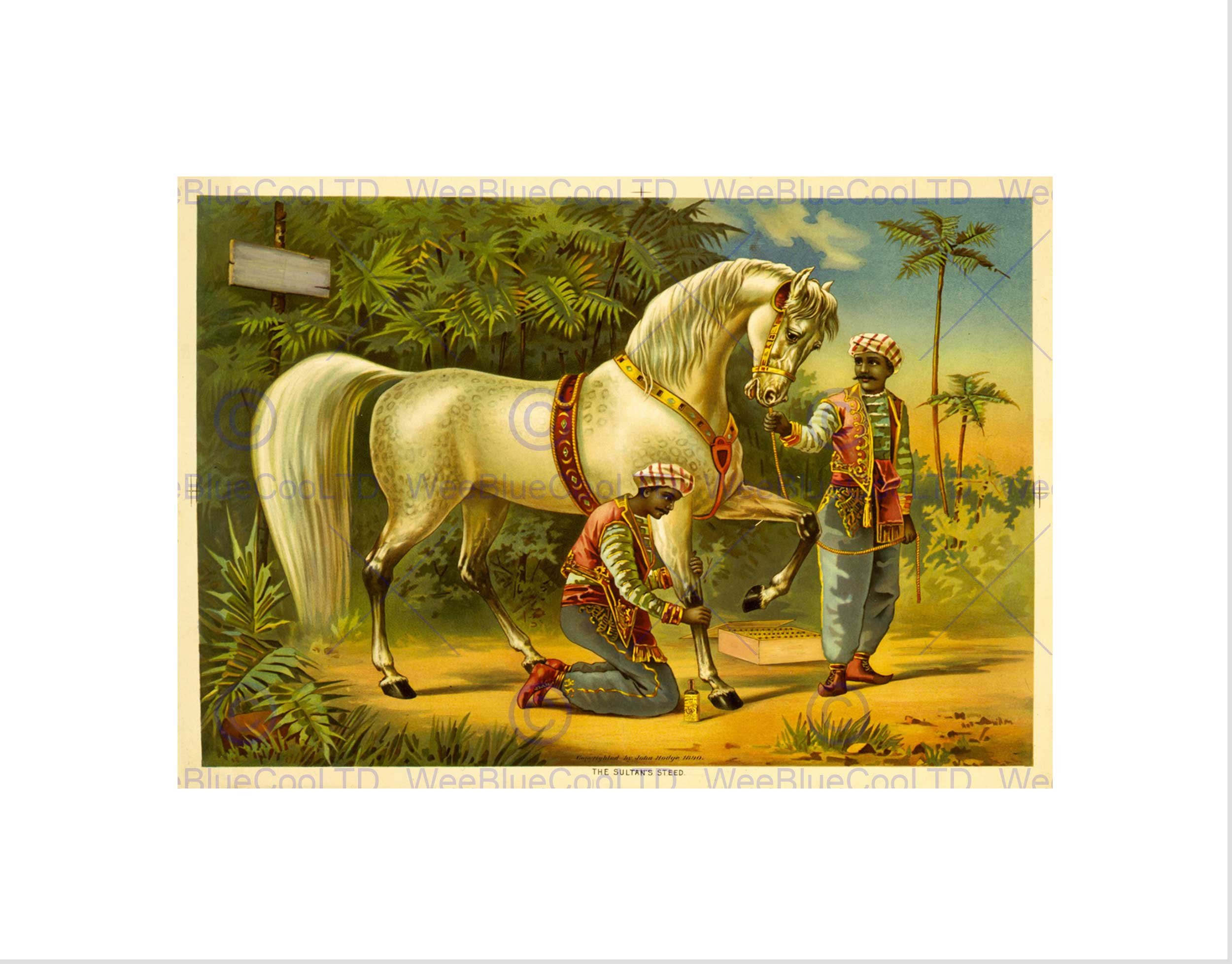 Wee Blue Coo Paintings Sultan Steed Horse Arabian Picture Wall Art Print