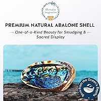 Vista 2 de Alternative Imagination Cáscara de abulón seleccionada a mano, 6 pulgadas o más grande, interior pulido de nácar - Plato a prueba de llama