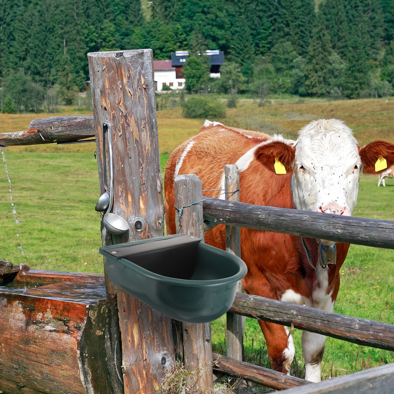 ULTECHNOVO Abbeveratoio Automatico per Bestiame in Plastica Livello D'acqua Costante senza Ruggine, Ciotola per Acqua Potabile per Uso in Fattoria Pecore e Altri Animali
