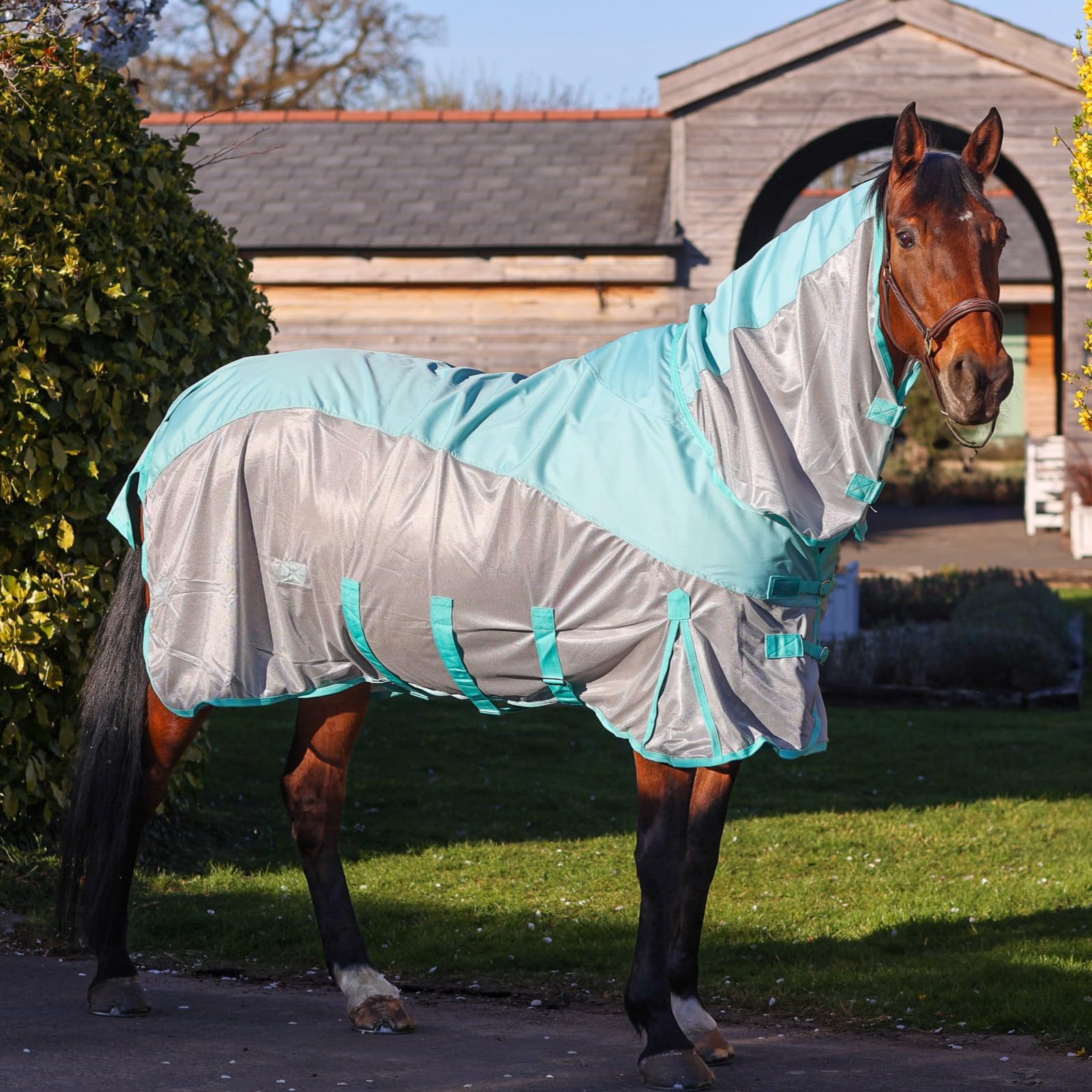 GS Equestrian Hybrid Combo Neck Fly Rug, Waterproof Top Section, Breathable Lightweight Material, with Fly Mask, Mint/Grey (5'6)