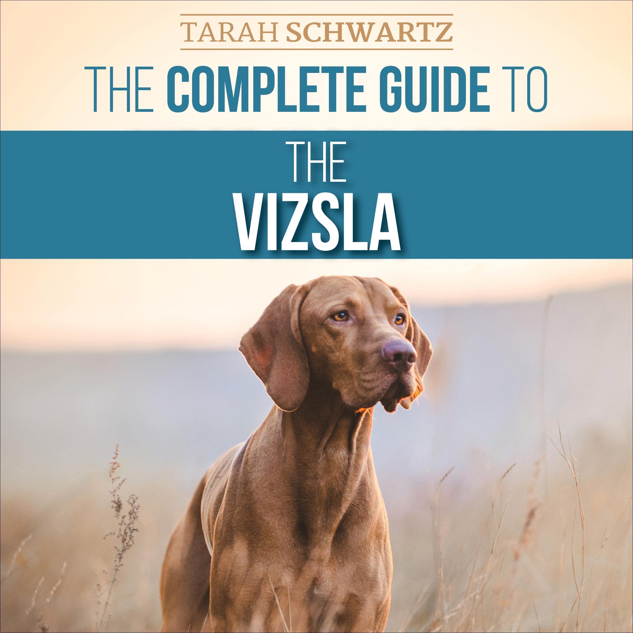 The Complete Guide to the Vizsla