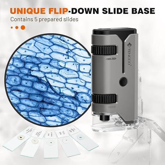 100x-250x Mini Pocket Microscope for Kids Adults, Protable Handheld Microscope, Miniscope Portable for Kids Adults Science Lab Education, Grey
