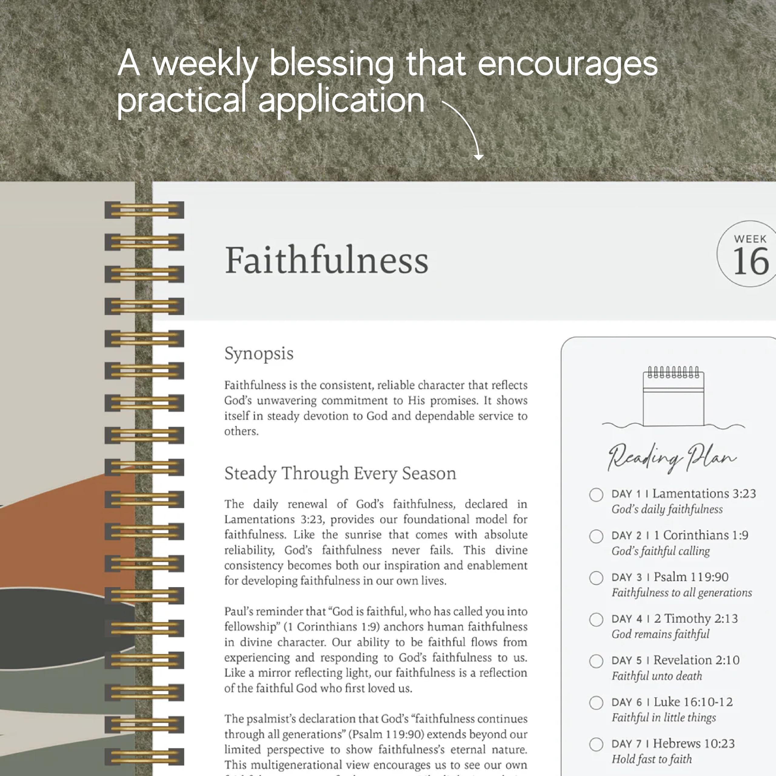 Official Spiral Bible The Bible in a Year | Studio biblico guidato di 52 settimane e piano di lettura giornaliero | Compagno spirituale e diario per adulti e adolescenti | Taccuino 21,6 x 27,9 cm |