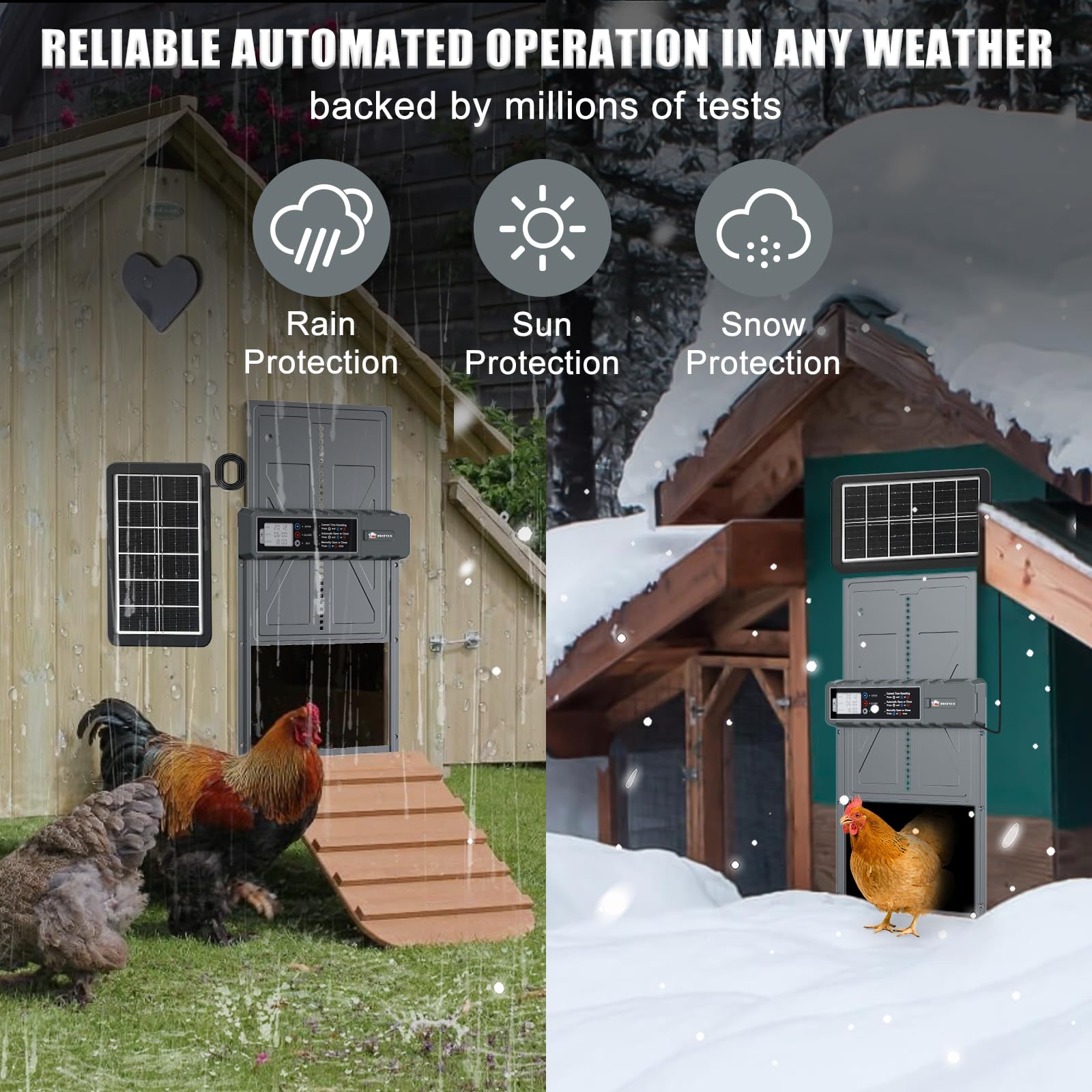 Puerta automática de pollo con energía solar antipellizcos