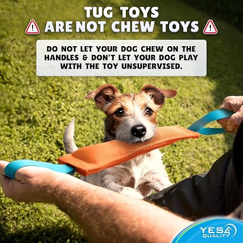 Miniatura 7 de YES4QUALITY K9 - Juguete de arrastre para mordedura de perro naranja con 2 asas azules fuertes, perfecto para tira y afloja, entrenamiento de