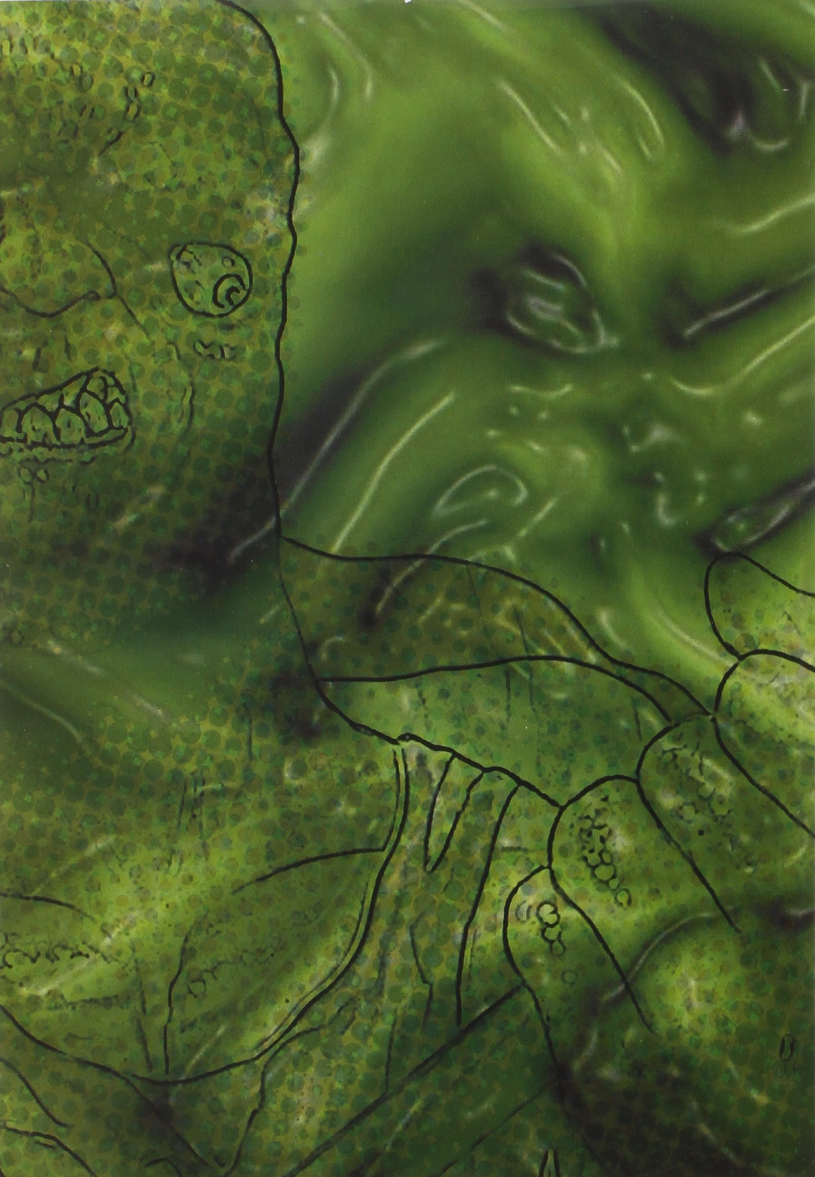 The Complete Toxic Avenger