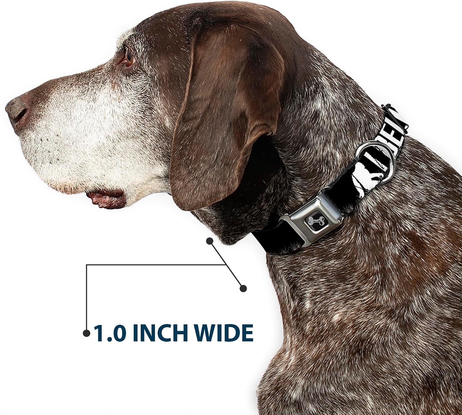 Buckle-Down Seatbelt Buckle Dog Collar - Bigfoot Silhouette I BELIEVE Black/Gray/White - 1" Wide - Fits 11-17" Neck - Medium