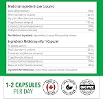 PlantVital Mushroom Booster Plus – Made in Canada – Mushroom Complex with Lions Mane, Reishi, Chaga, Turkey Tail & Cordyceps – Source of Antioxidants & Herbal Medicine Formula – 120 Capsules