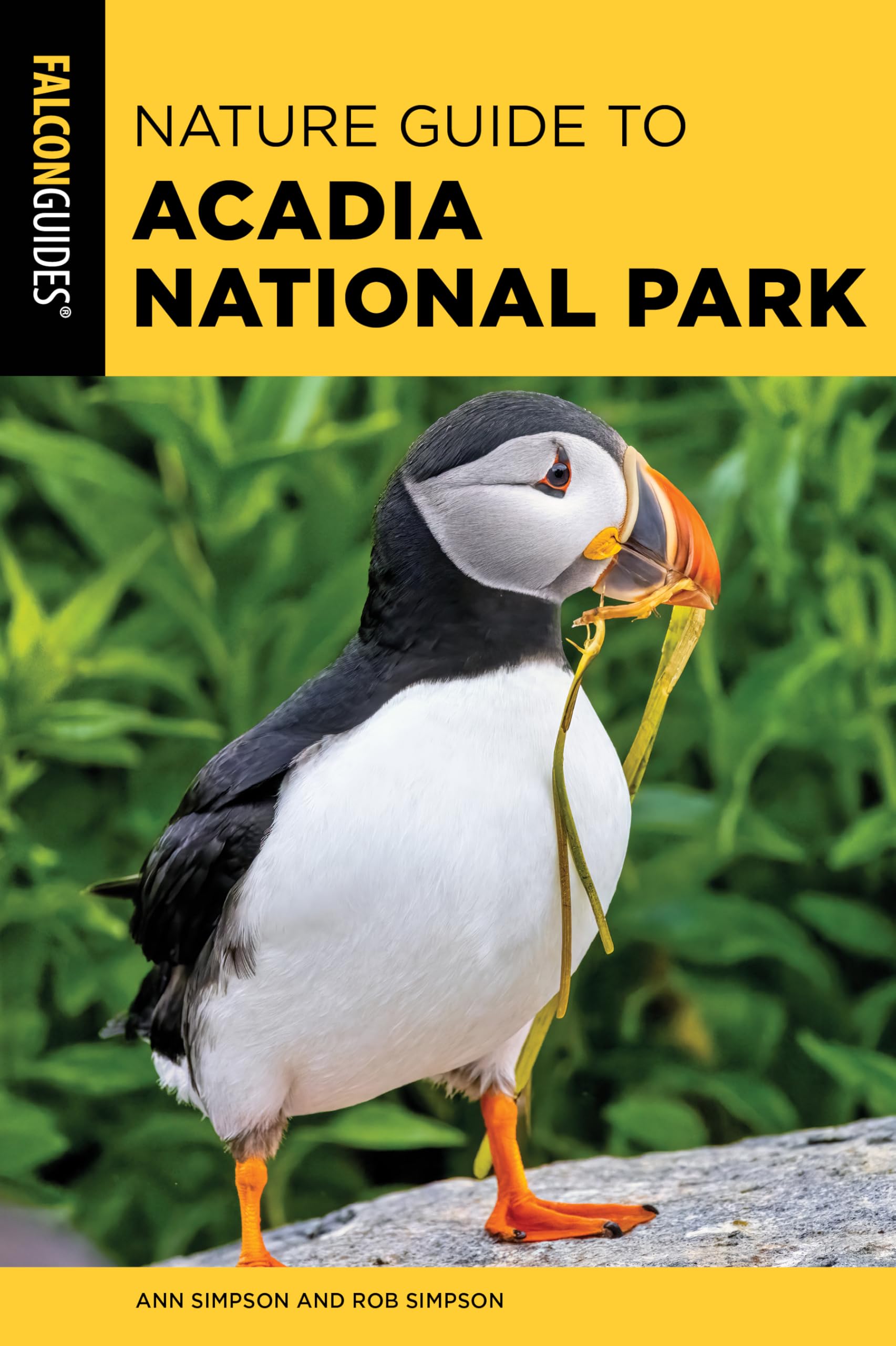 Nature Guide to Acadia National Park (Nature Guides to National Parks Series)