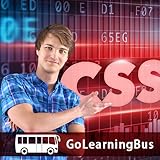 texto css cor Professional Languages, Learn CSS by GoLearningBus