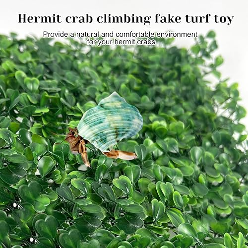 Rainmae 2Pack Faux Grass Mat Fake Turf Hermit Crab Climbing Wall, Hermit Crab Climbing Toys, Plastic Aquarium Plants Lawn Hermit Crab Supplies Climbing and Hide Toy for Gecko Reptile Lizard 10x10 inch(1 Pack)