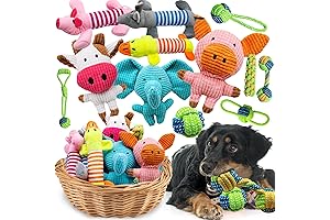 12 Pack Dog Squeaky Toys Bundle