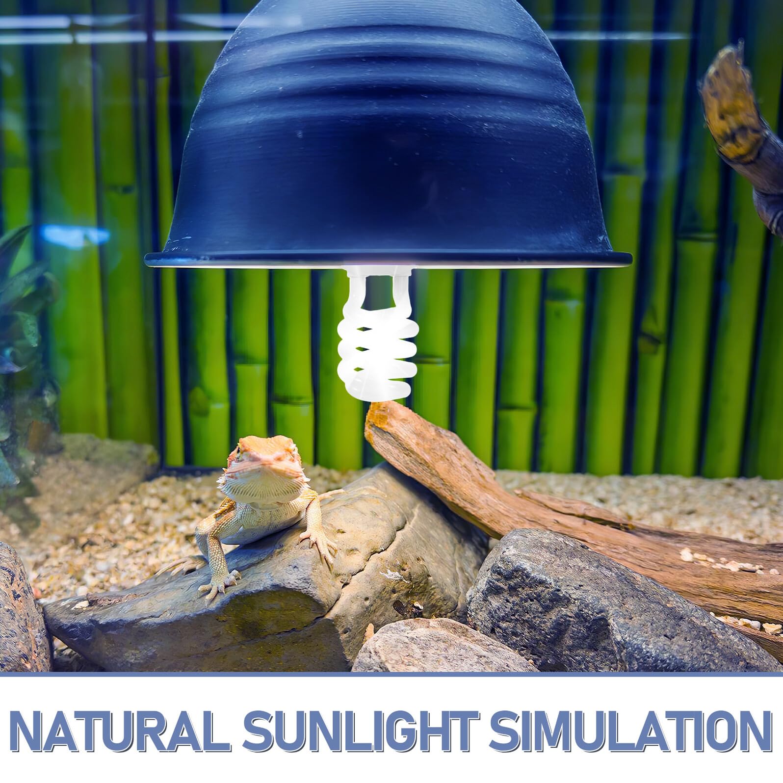 Hemobllo Lámpara Uvb para Reptiles Luz Ultravioleta 10w y 26w para Terrarios de Dragón Barbudo y Tortugas, Vidrio y Metal para Iluminación Uniforme en Terrarios Desérticos