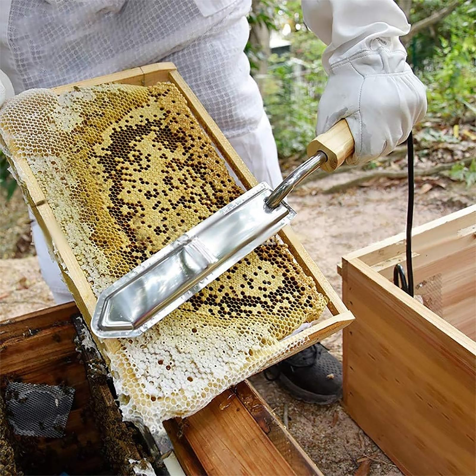 Elektrycznie Podgrzewany Nóż Do Odsklepiania Miodu, Stal Nierdzewna Do Odsklepiania Miodu, Elektryczny Nóż Pszczelarski, Wydajne Nagrzewanie, Oszczędność Czasu, Dobry Pomocnik Dla Pszczelarzy