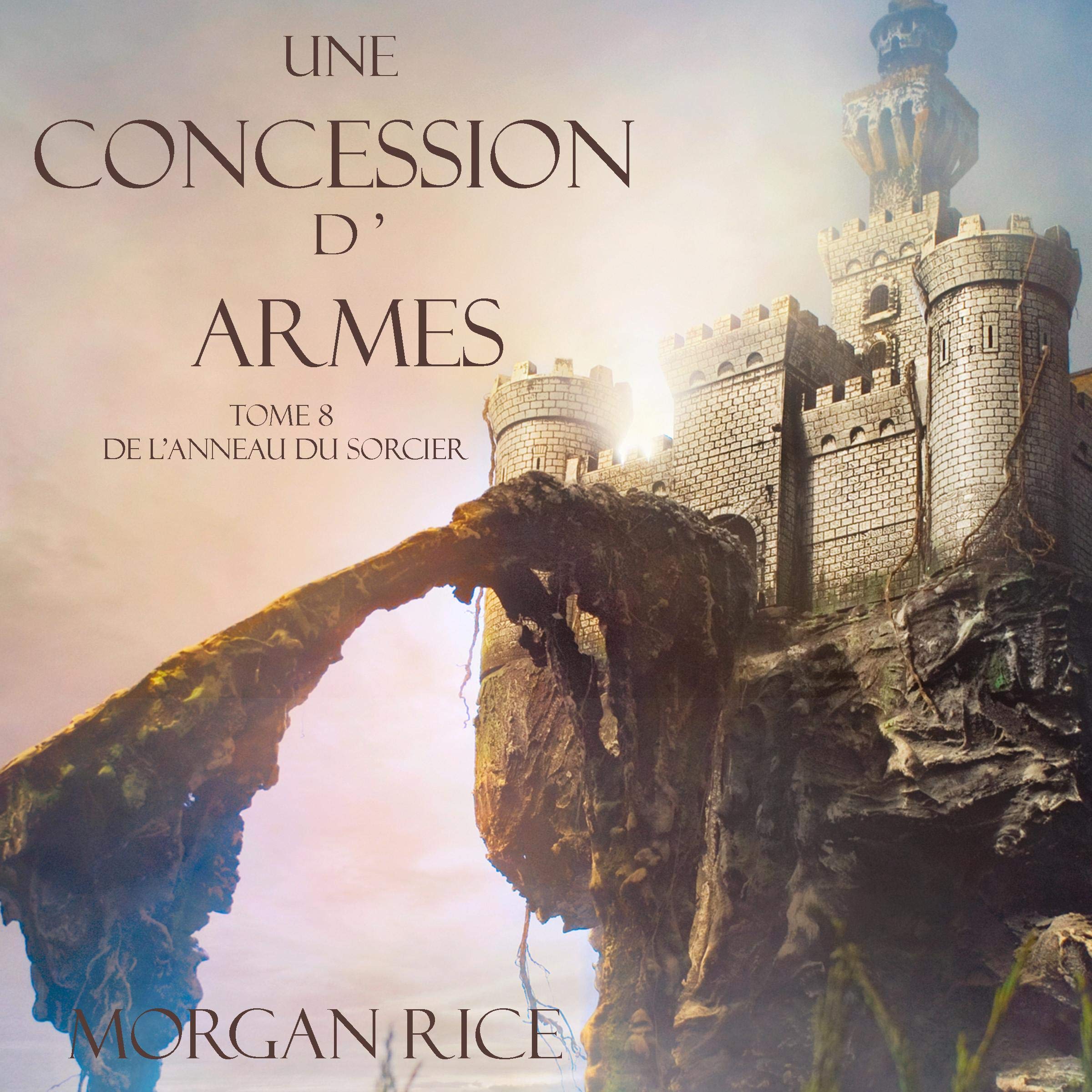 Cover art for Une Concession d’Armes [A Grant of Arms]