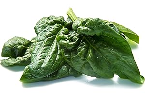 Bloomsdale Spinach Seeds: Flourishing Gardens Indoors and Out