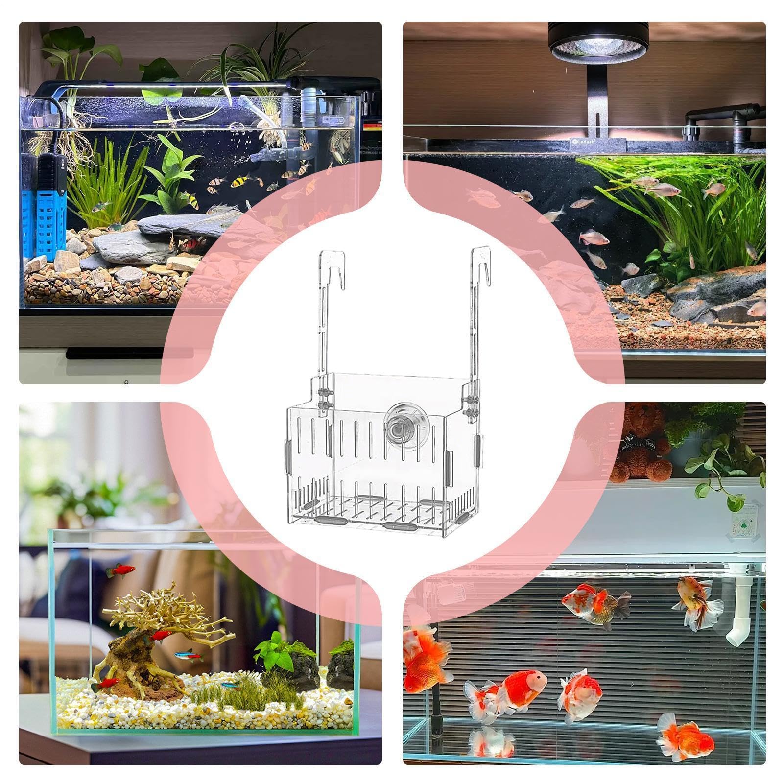 Soporte para plantas de acuario – colgante hidropónico acrílico, macetero de tanque con doble gancho ajustable | Exhibición de plantas flotantes transparentes para decoración de vid de musgo a