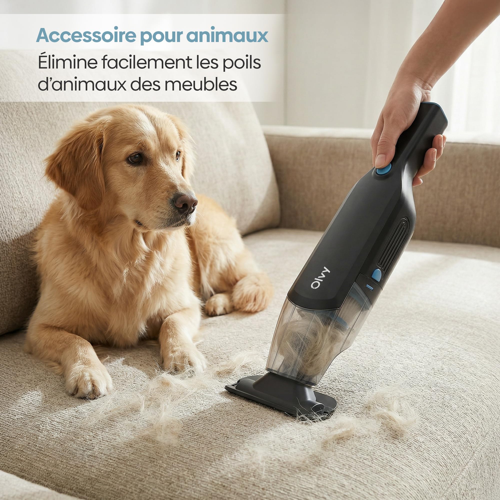 Aspirateur portatif sans fil puissant à 2 vitesses pour poils d'animaux, mini aspirateur portable pour voiture et maison, longue autonomie, filtre HEPA lavable, nombreux accessoires