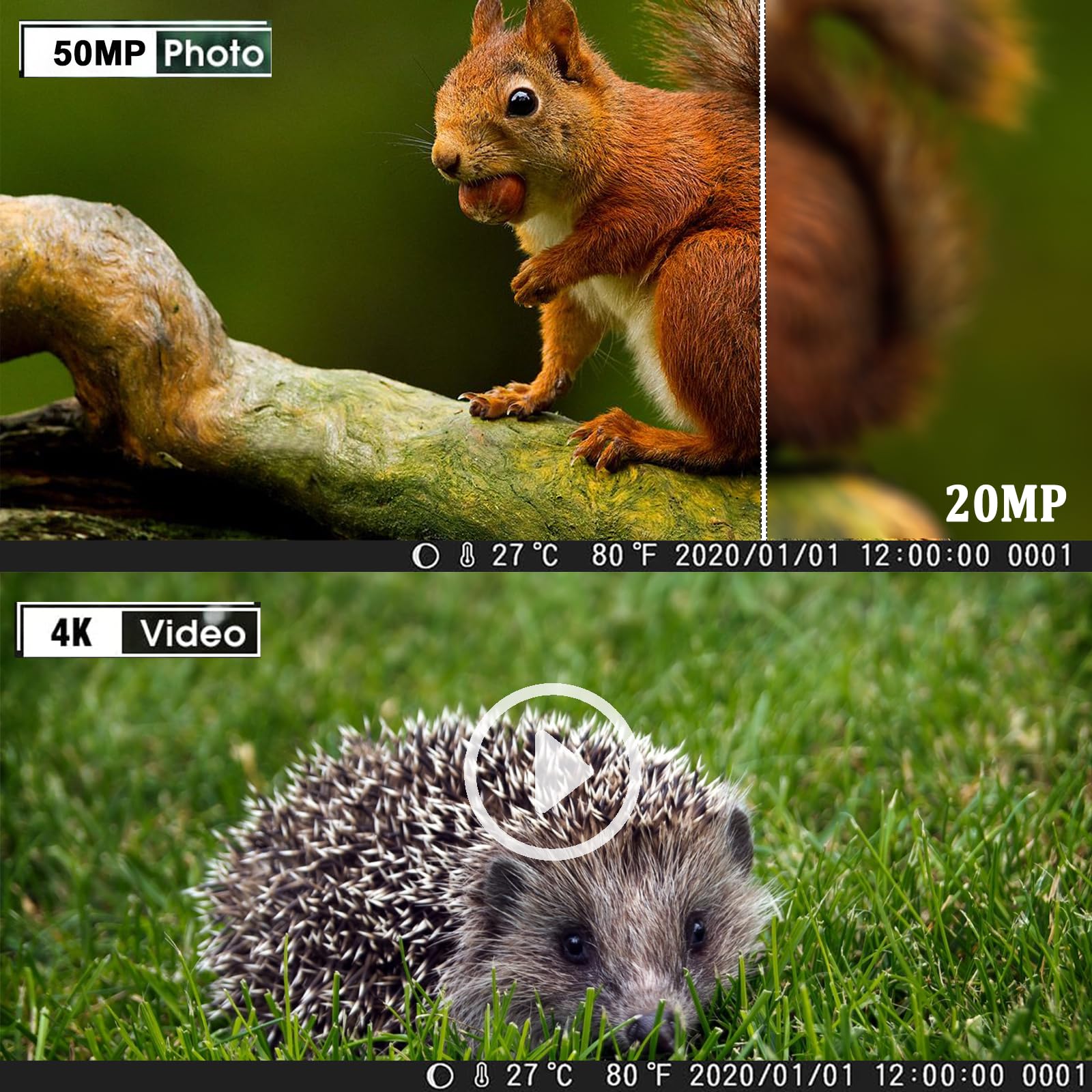 Camara Caza 50MP 4K, Camara Fototrampeo con Sensor de Movimiento, Cámara de Caza Nocturna Impermeable IP65, Visión Nocturna hasta 25m, Micro SD 32GB