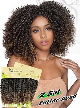 Amazon.com : LADY MIRANDA Brown Color Afro kinky Curly Braiding