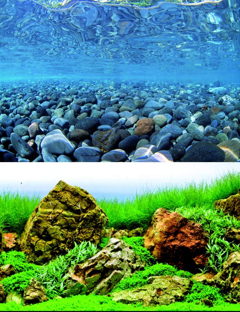 AMTRA VISION, sfondo in poster per acquario, decorazione dell'acquario, poster decorativo con doppia stampa, formato 45x100cm