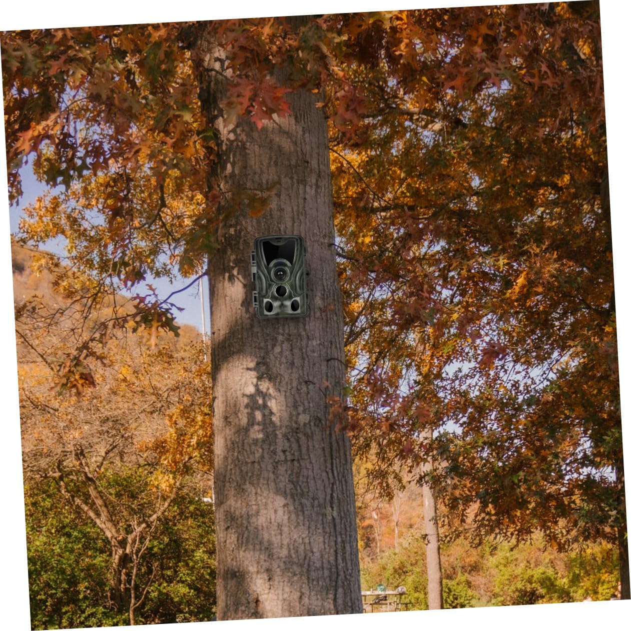 Cámara de Campo 1080p con Sensor Infrarrojo para Exteriores, Seguimiento de Fauna y Visión Nocturna, bajo Consumo para Caza y Exploración al Aire Libre