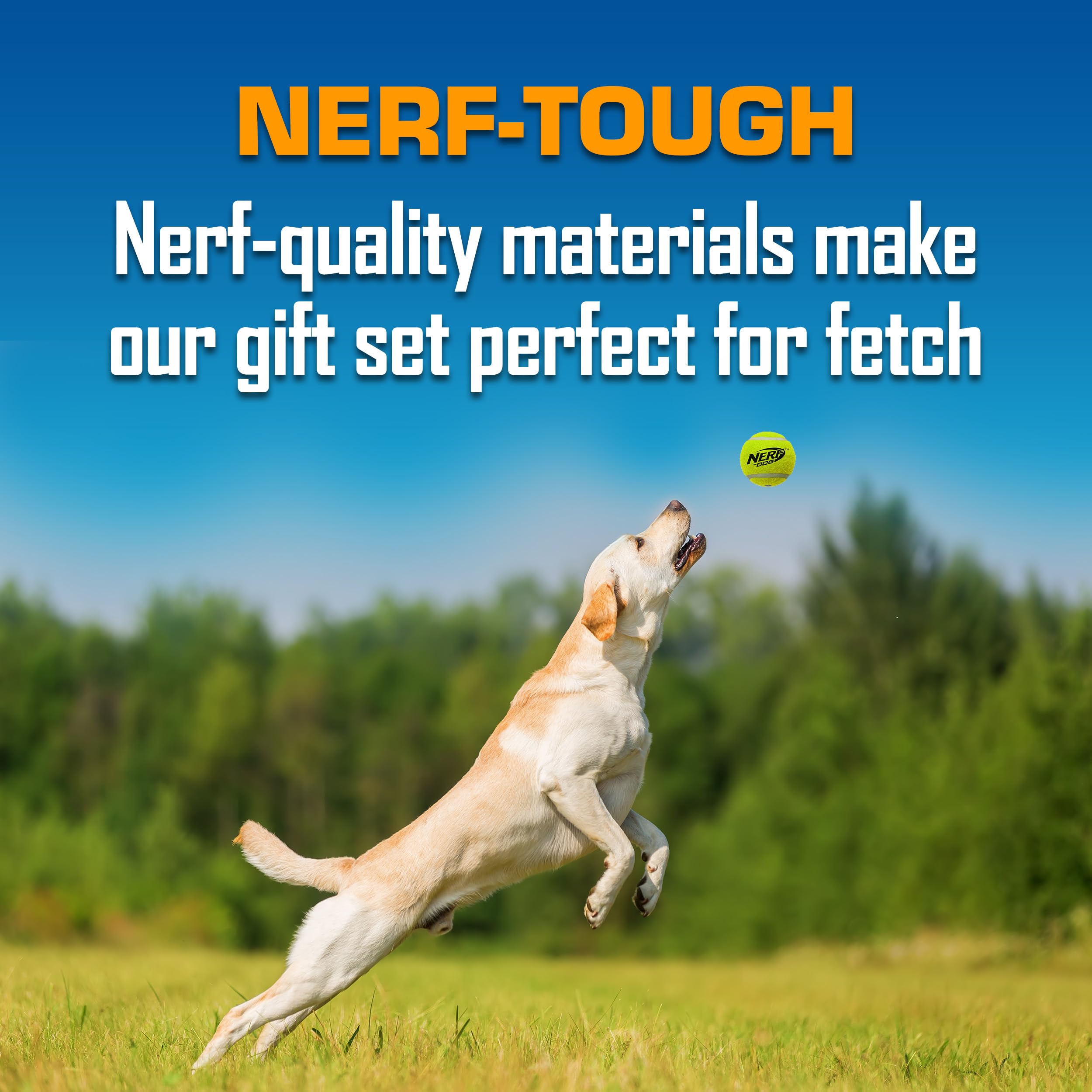 Nerf Dog Juego de Regalo de 5 Piezas para Perros, Incluye Pelota de Tenis chirriante de 2.5 Pulgadas, Paquete de 3, Volante de neumáticos TPR translúcido de 10 Pulgadas y Volante de neumáticos TPR de
