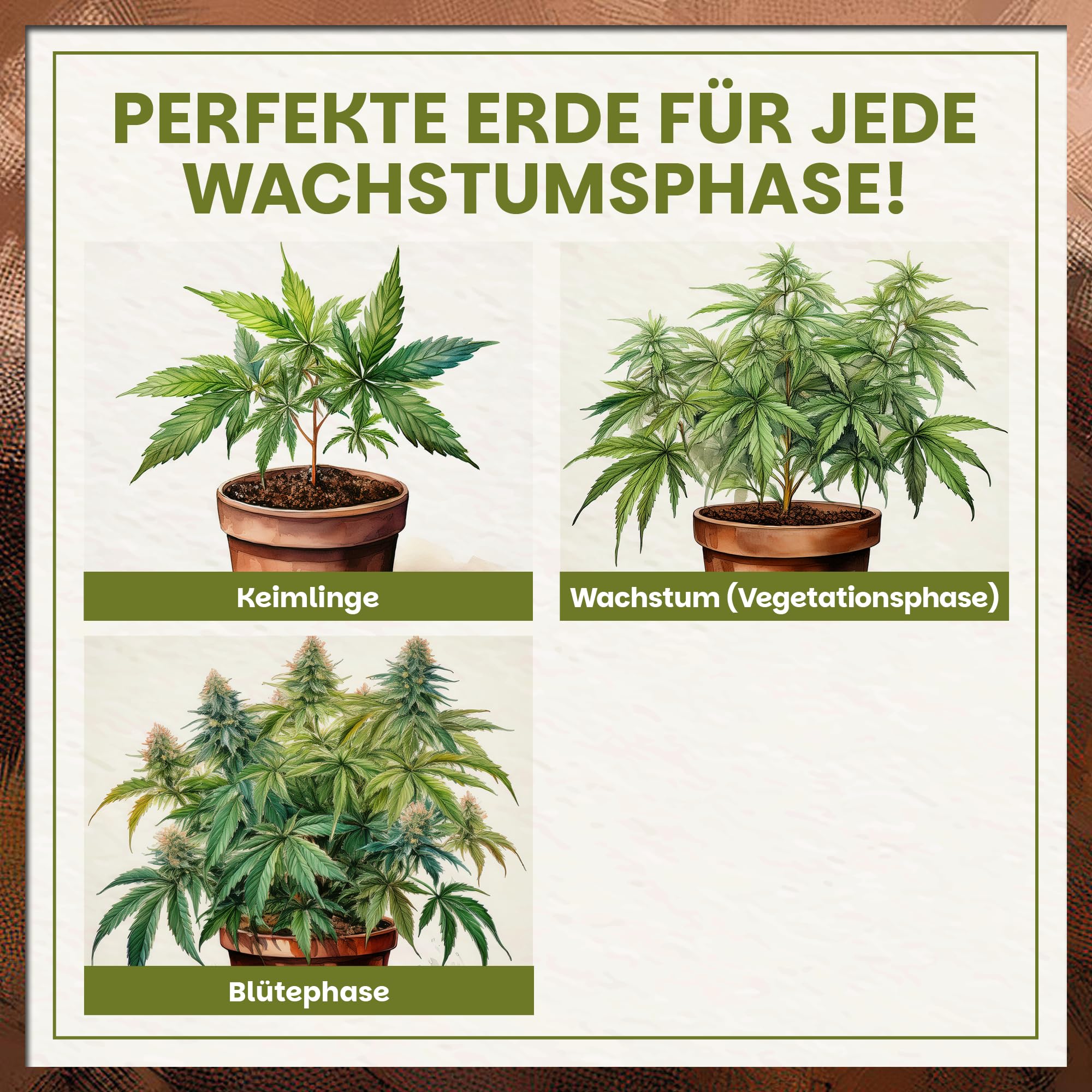 Green Home Cannabis & Hanferde 72 Liter | All Mix Erde für Wachstum & Blüte | Perfekt für Autoflower | Mit Perlite, Weißtorf & Kokosfaser | Langzeitnährstoffe | Optimaler pH-Wert: 5,8