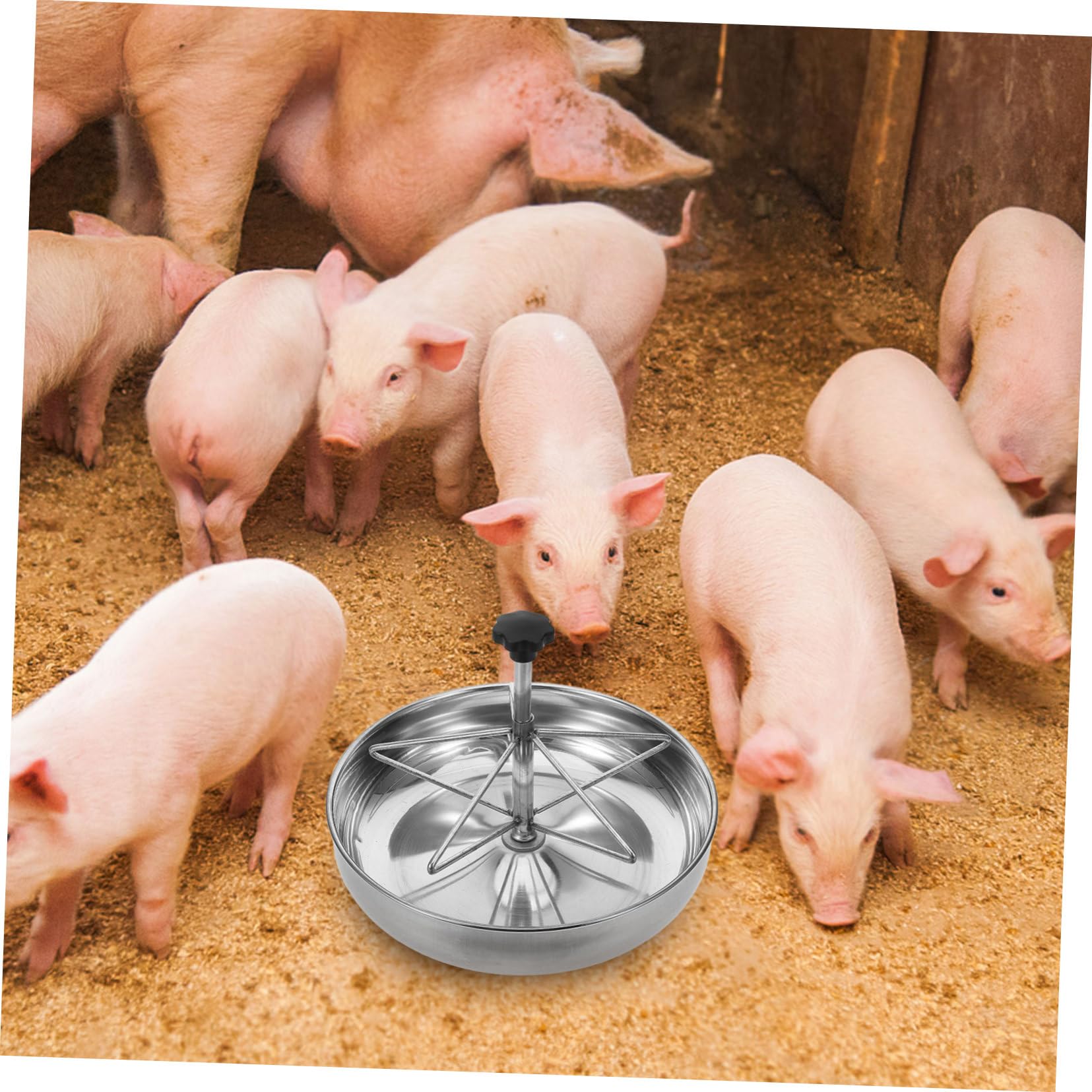 Alimentatore Per Suinetti Inossidabile Trogolo Stabile e Facile Da Pulire Per Allevamenti Di Maiali Resistente e Sicuro Mangiatoia Per Animali Da Fattoria