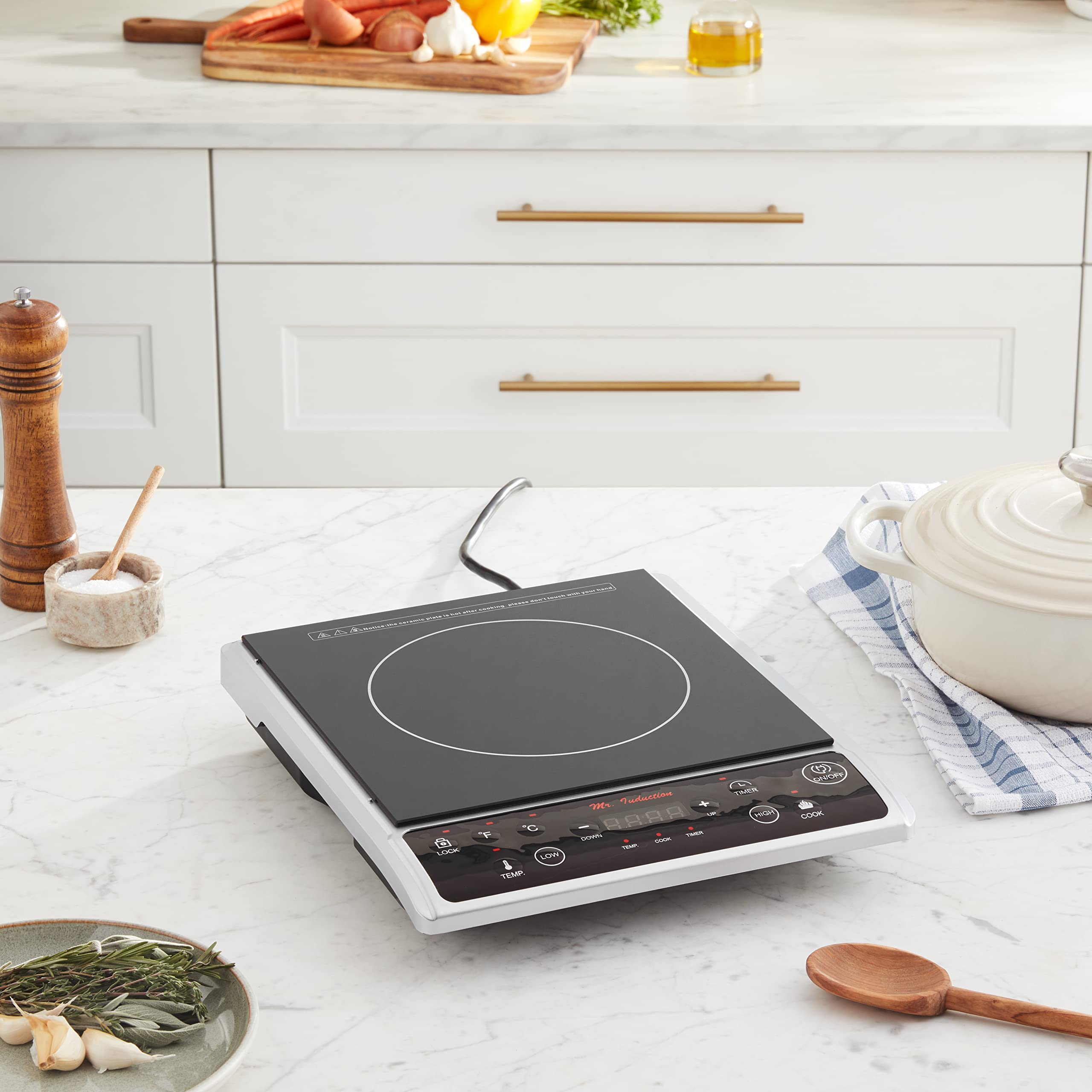 1300 Watts Induction Cooktop (Silver)