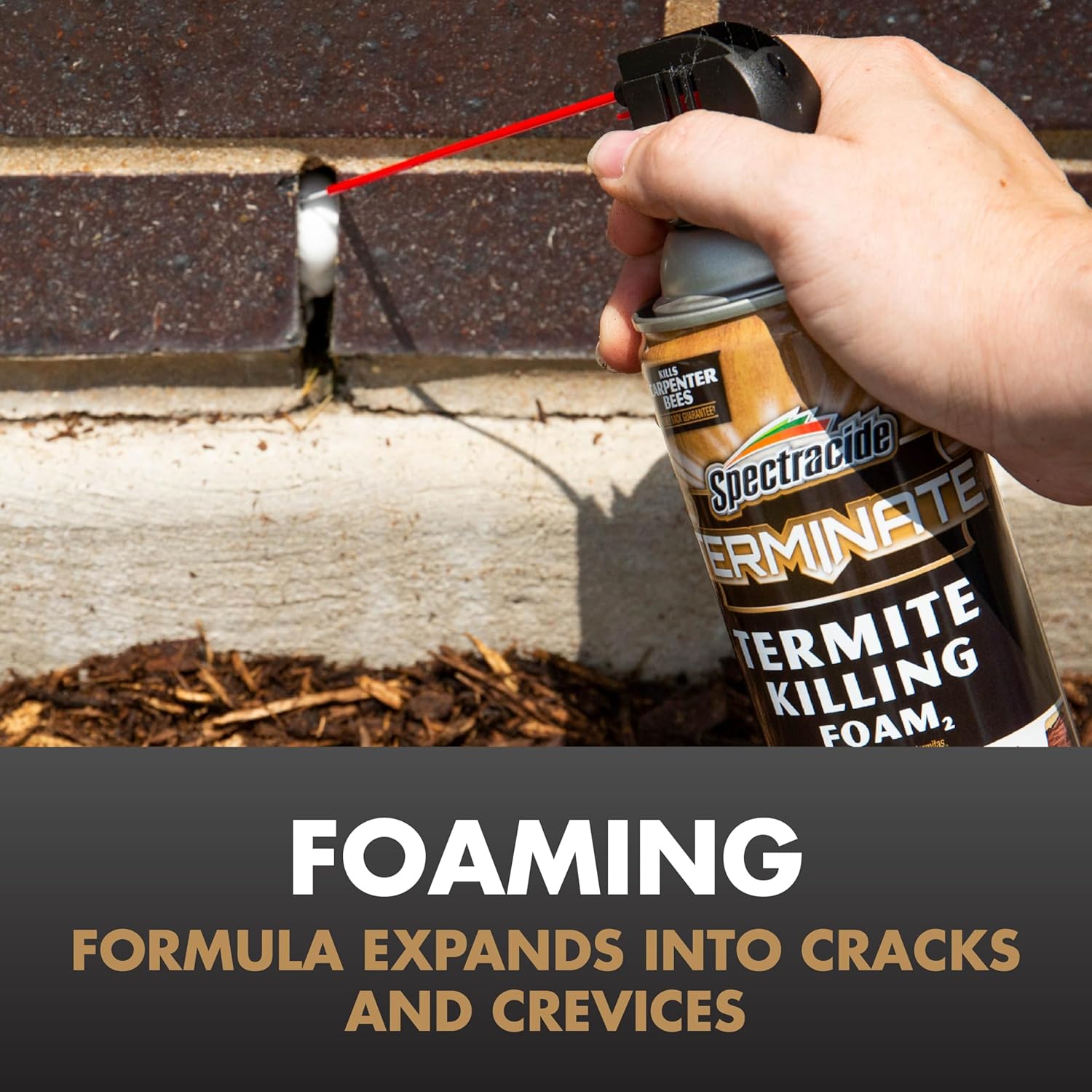 Spectracide Terminate Termite Killing Foam 16 Ounces, For Indoor And Outdoor Use, 12 Pack