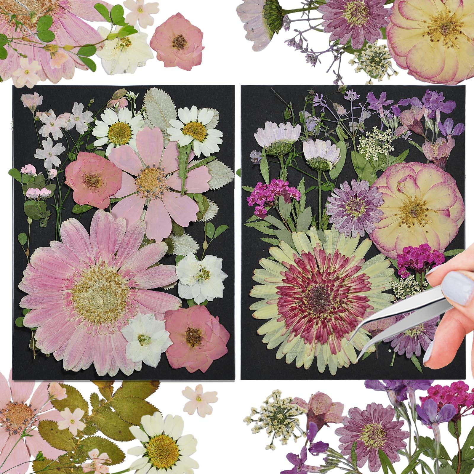 White Dried Pressed Flowers, 40Pcs Real Nature Flowers Set with Tweezers