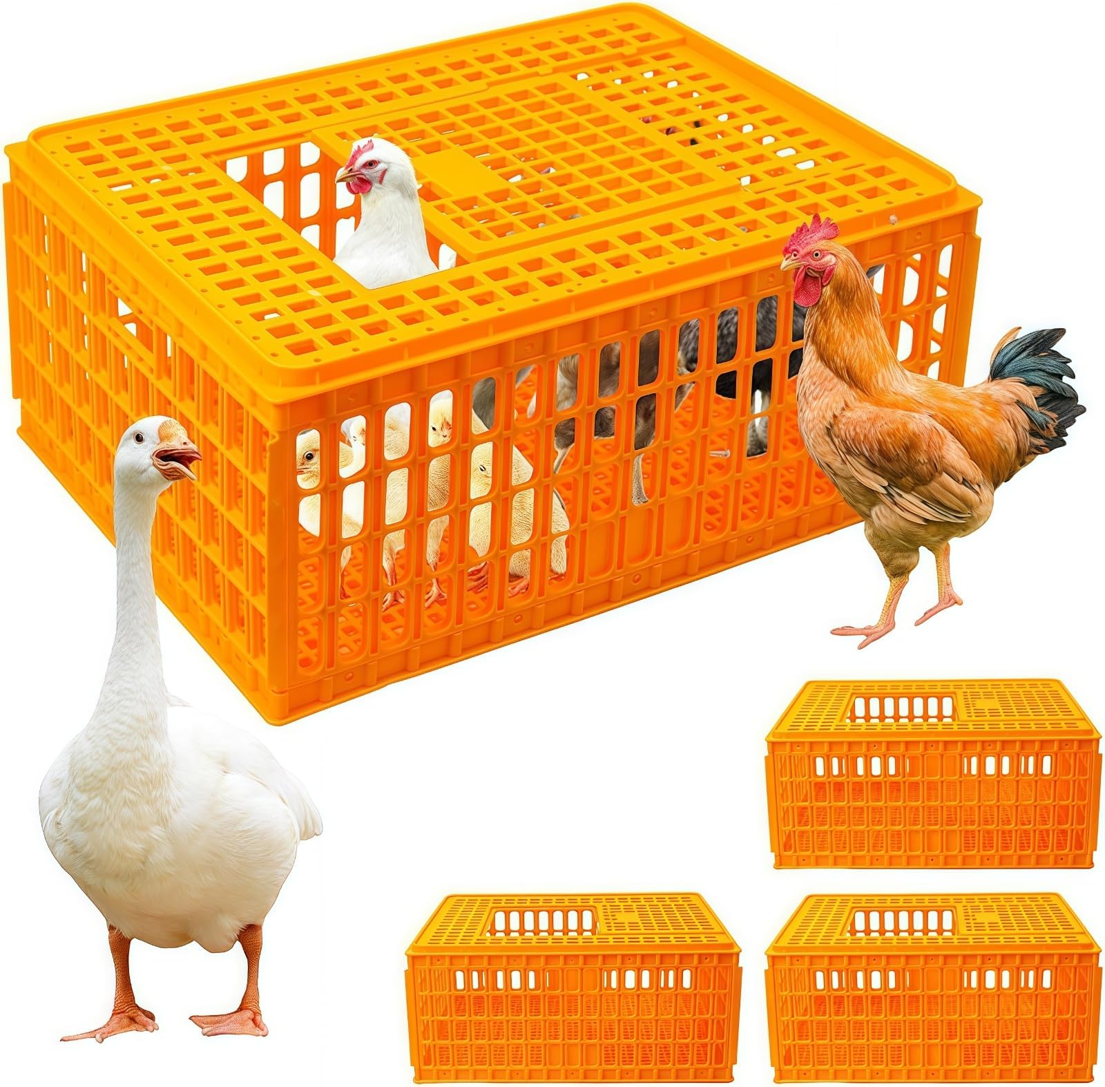 4 Pcs Poultry Carrier Crate, 29 x 21 x 13 in Plastic Poultry Transport Crate Carrier, Chicken Crates Transport Box for Chicken, Bird, Duck, Goose,