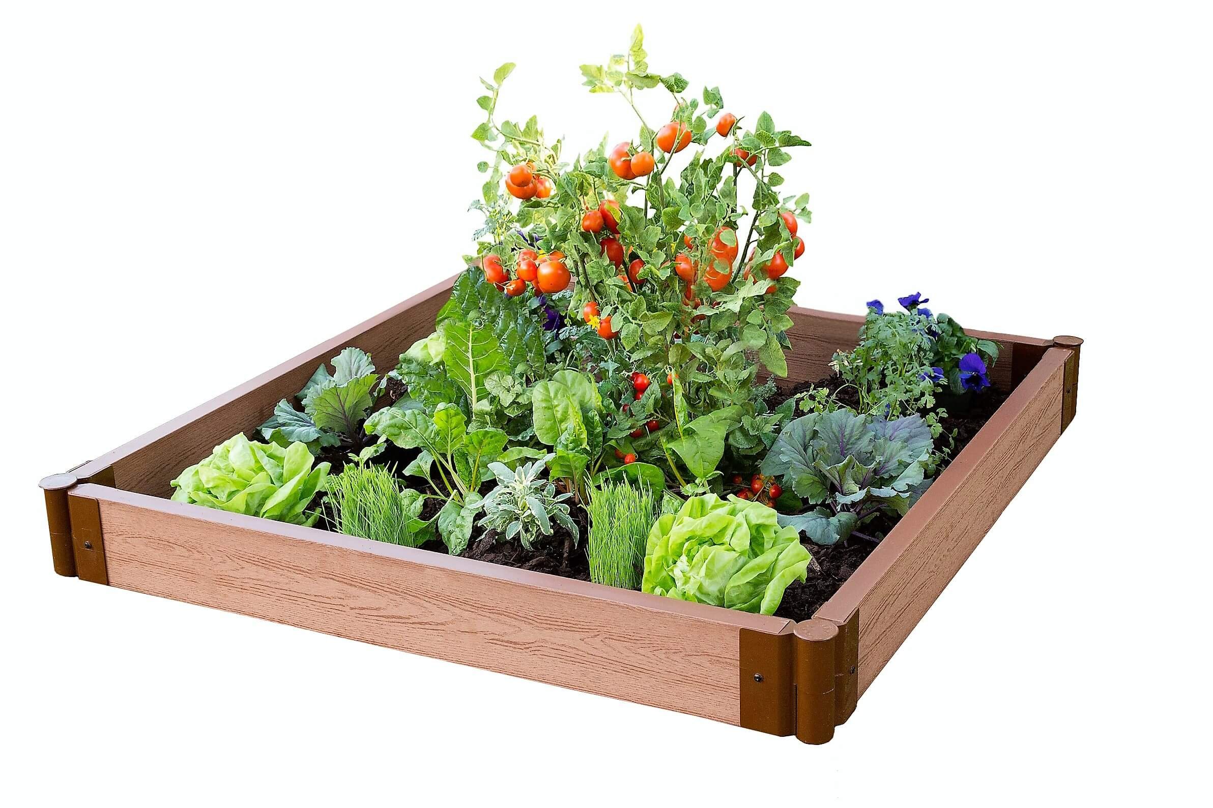 Frame It All Two Inch Series 4ft. x 4ft. x 5.5 in. Composite Raised Garden Bed Kit